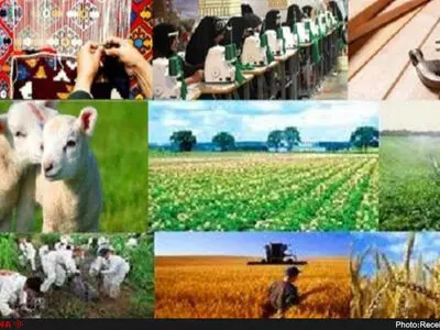 با تحمیل هزینه اضافی کارآفرینان ورشکست می‌شوند/ اجباری بودن بیمه قبل از اجرای طرح‌های اشتغال اعلام شود