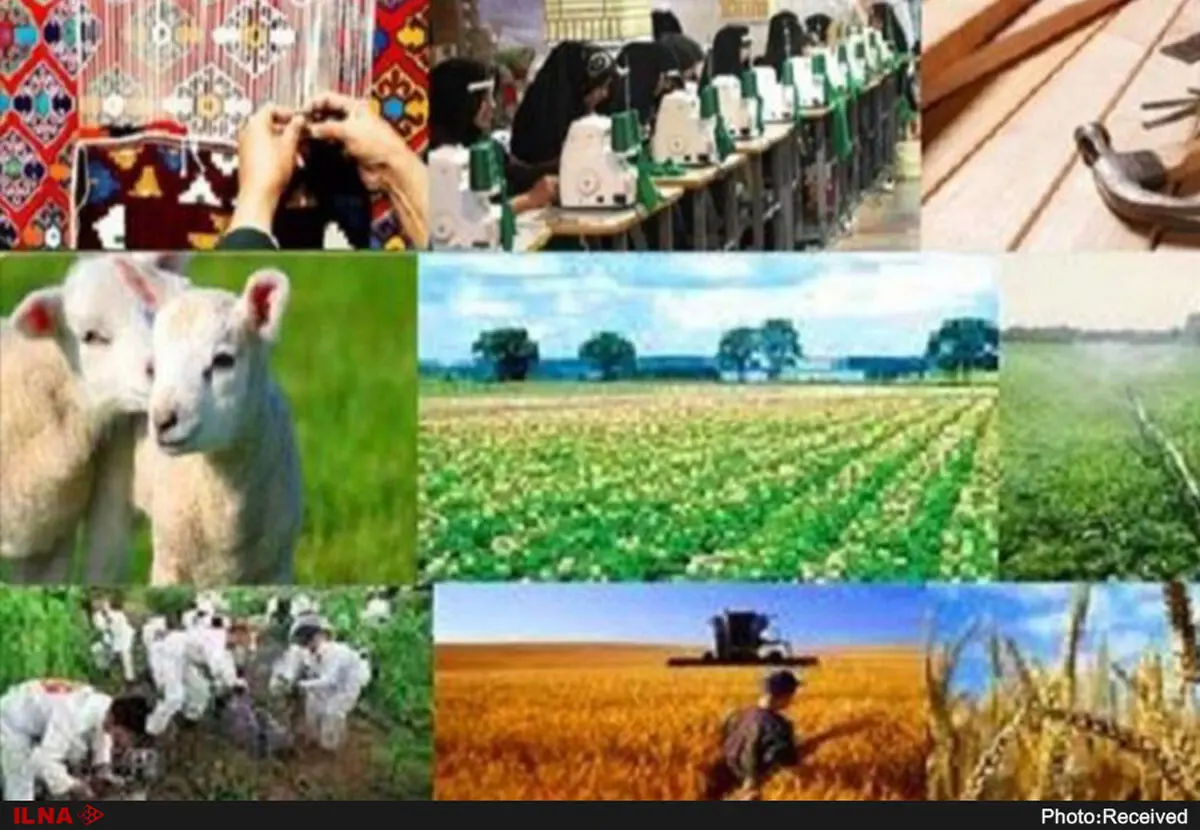 ضرورت حفظ اشتغال روستایی و عشایری در راستای مهاجرت معکوس  