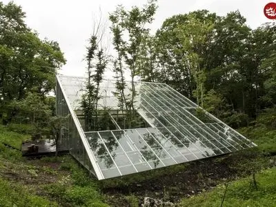 خاص‌ترین خانۀ شیشه‌ای دنیا در جنگل‌های ژاپن+ عکس