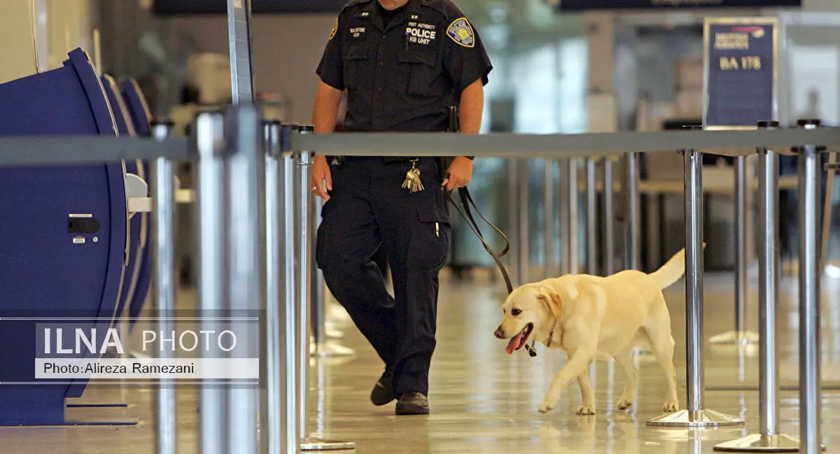 فرودگاه نیویورک به دلیل تهدید امنیتی تخلیه شد