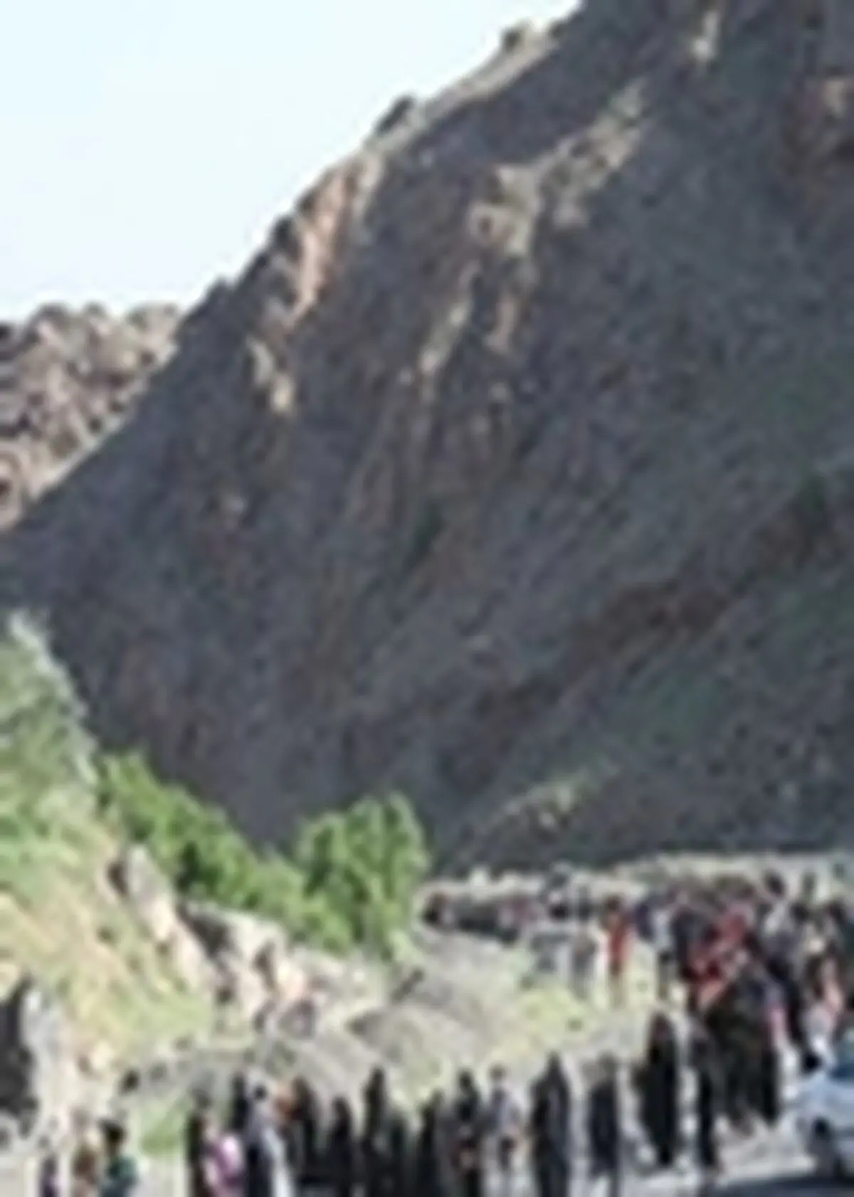 بیش از ۸۰ درصد شرکت‌کنندگان کوهگشت بانوان کاشانی بودند