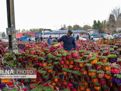 هفت سین در بازار عمده فروشان
