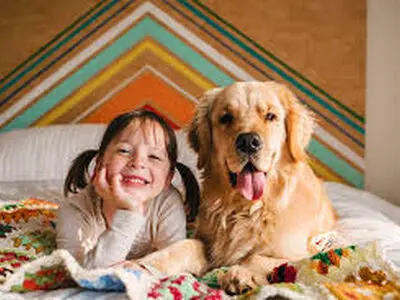 دلداری دادن یک سگ به صاحبش/فیلم