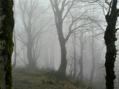 فوت کوهنورد لاهیجانی پس از ایست قلبی در مسیر