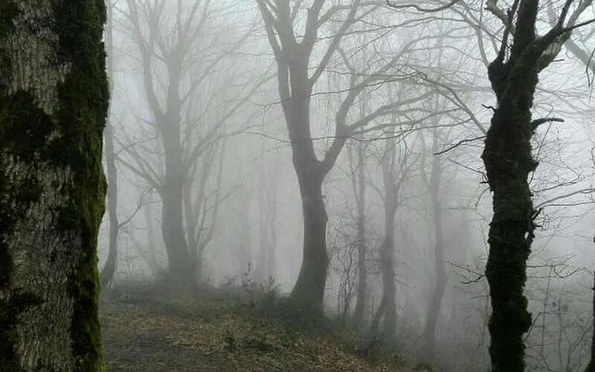 فوت کوهنورد لاهیجانی پس از ایست قلبی در مسیر
