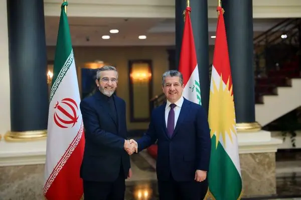 دیدار باقری با نخست وزیر اقلیم کردستان عراق