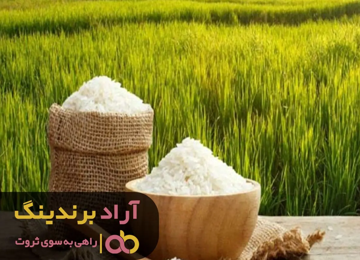 قیمت برنج کامفیروز کیلویی شیراز در پایتخت اعلام شد