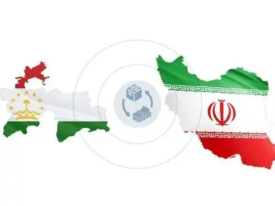 ورود وزیر امور اقتصادی و دارایی به تاجیکستان برای شرکت در مجمع بین‌المللی سرمایه‌گذاری