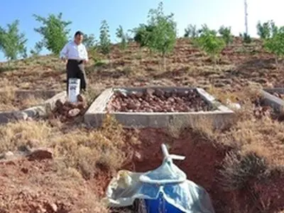 پوشش شنی برای پوشش جنگلی پارک کوهستانی عون ابن علی