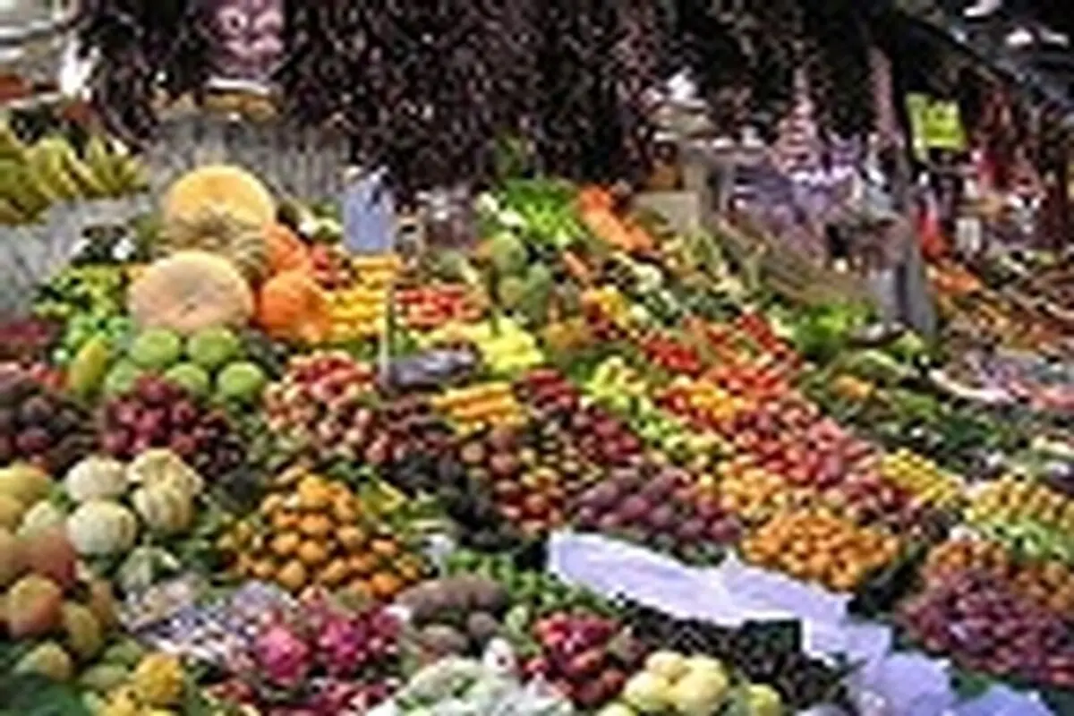 تقاضا برای میوه در استان کاهش پیدا کرده است