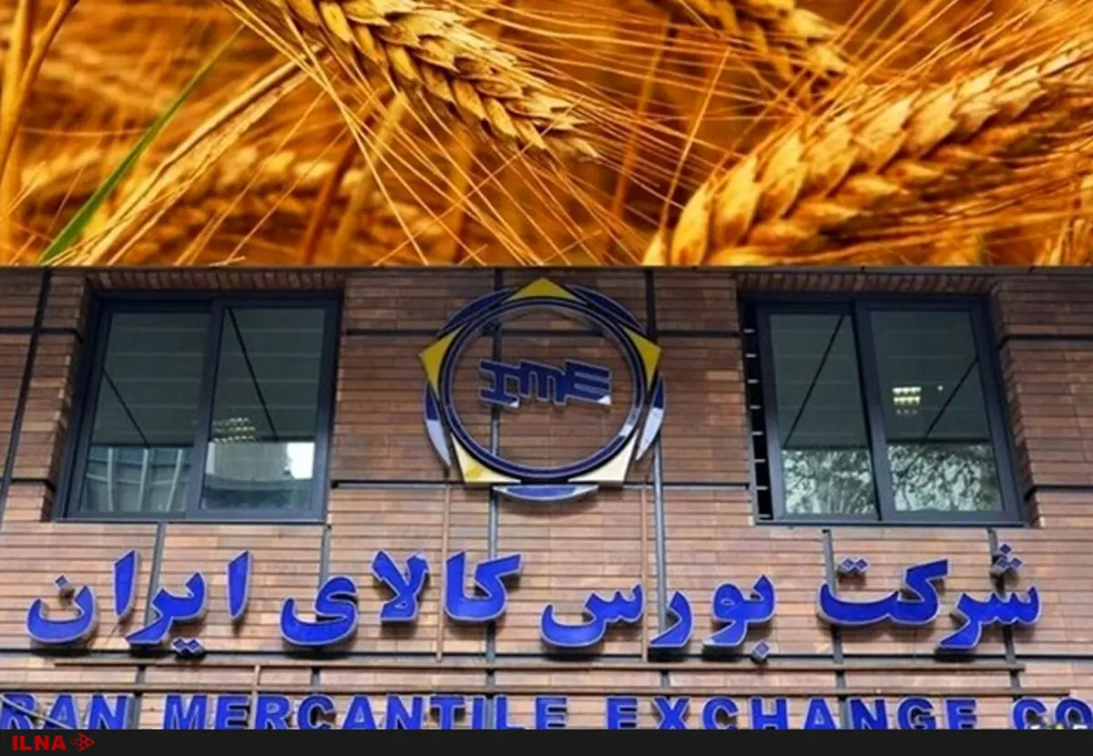 تحویل 4میلیون و 600 هزار تن گندم از کشاورزان/ بورس کالا انبار تضمین شده برای در اختیار گرفتن خرید تضمینی ندارد