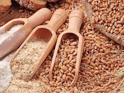 تخصیص رانت محور سهمیه ارز در بازار نهاده‌های دامی