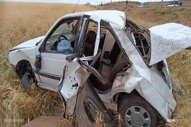 تلف شدن ۸ رأس دام در تصادف پژو با گله گوسفندان