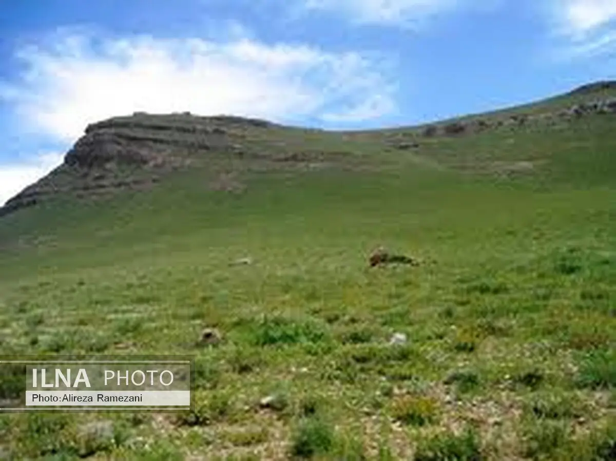 مازندران نیم درصد مراتع کشور را تشکیل می دهد