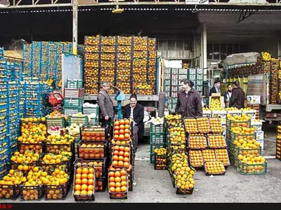 قیمت میوه در سطح شهر دو برابر میادین میوه و تره‌بار 