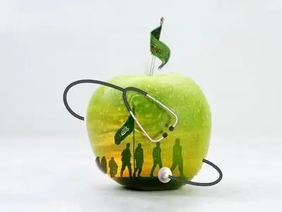 اصول تغذیه و سلامت در سفر اربعین