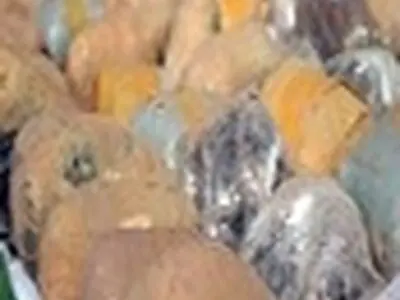 ۱۰۷کیلو تریاک از سوداگران مرگ در اصفهان کشف شد