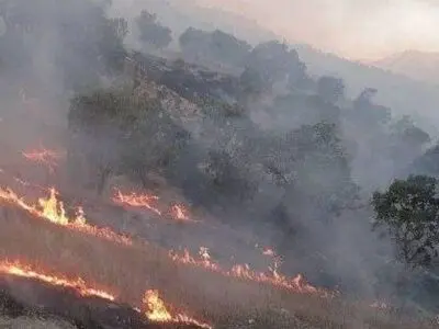 کوه های باغ تاج دشتستان همچنان در آتش می سوزد