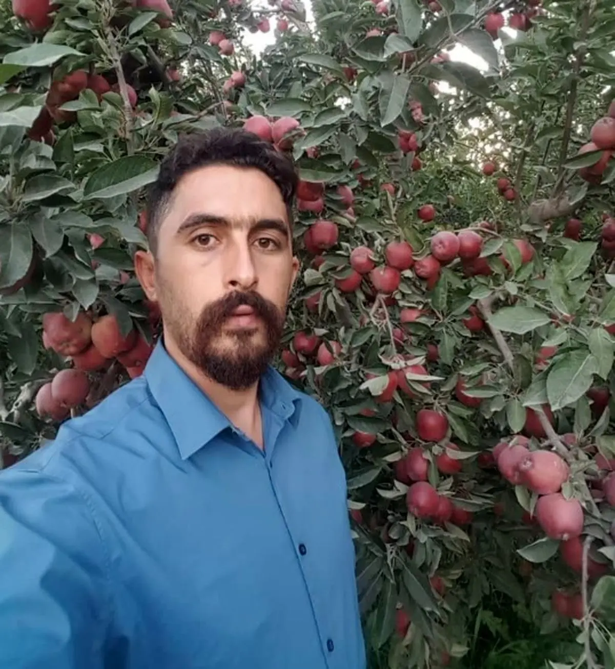 مهمترین نکات در کاشت نهال در زمستان چیست؟