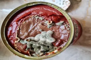چین‌های کپک بر روی رب چین چین!