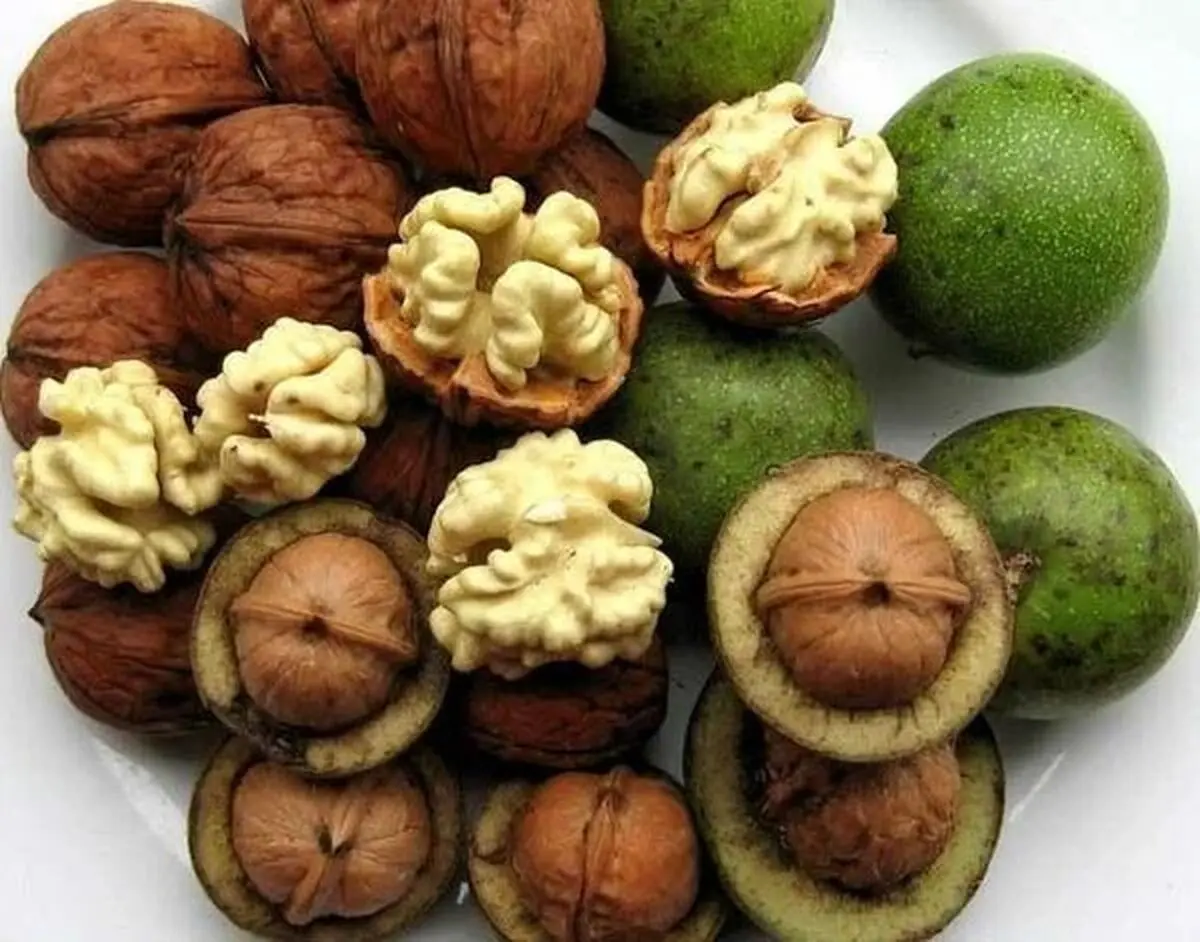 ۵ روش خشک کردن گردو سبز