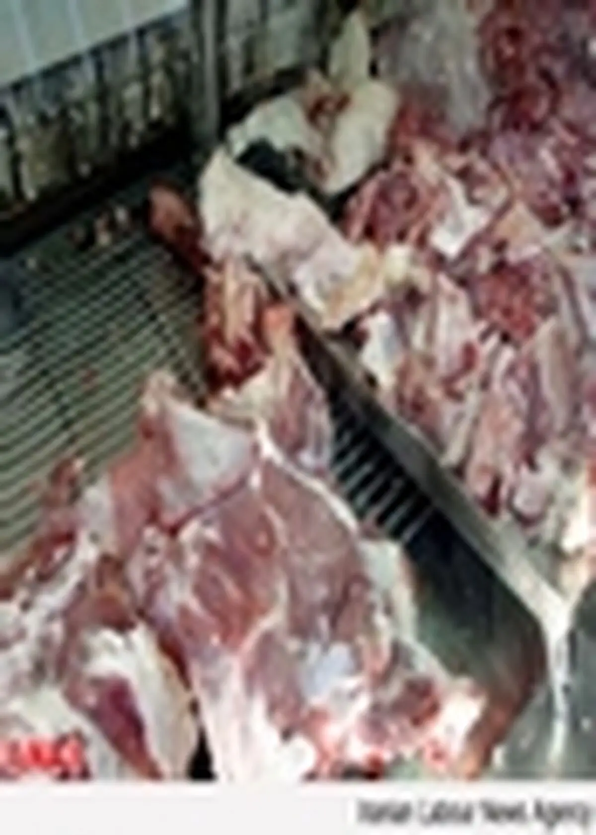 قیمت تولید محصولات گوشتی صنعتی در سال ۹۱،۶۱ درصد رشد داشت