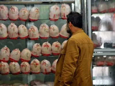 افزایش قیمت مرغ در هفته‌های اخیر به دلیل کاهش تولید/ ریشه گرانی مرغ به حذف ارز ترجیحی برمی‌گردد