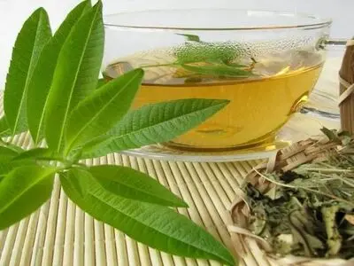 با این گیاهان عفونت‌ها را برطرف کنید
