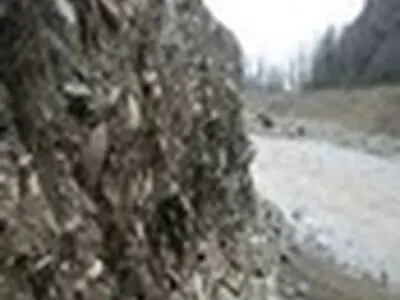 اعمال جزای نقدی برای برداشت کنندگان غیر مجاز شن و ماسه در فومن