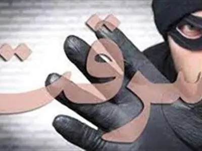 علت عمده سرقت‌ها در استان فقدان تدابیر حفاظتی است 