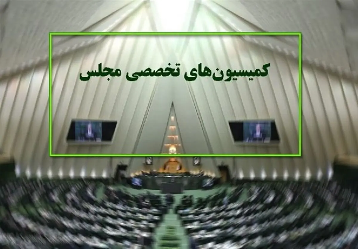 شانس بالای نماینده های فارس در کسب کرسی ریاست کمیسیون حمایت از تولید ملی 