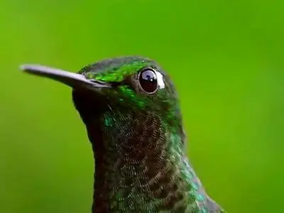 asdasd