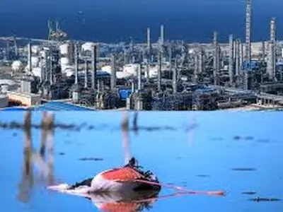 هیچ پروژه قانونی به نام پتروشیمی میانکاله وجود ندارد