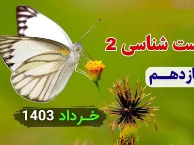 دانلود سوالات امتحان شبه نهایی زیست شناسی ۲ پایه یازدهم مدارس برتر خرداد ۱۴۰۳