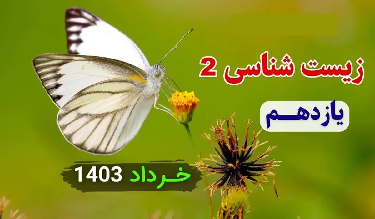 دانلود سوالات امتحان شبه نهایی زیست شناسی ۲ پایه یازدهم خرداد ۱۴۰۳