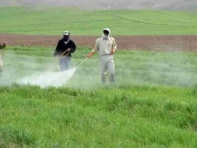 کشاورزان آذربایجان‌شرقی نسبت به شناسایی و کنترل به‌ موقع عوامل خسارت‌زا اقدام کنند