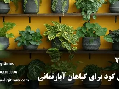 راهنمای خرید بهترین کود برای گیاهان آپارتمانی