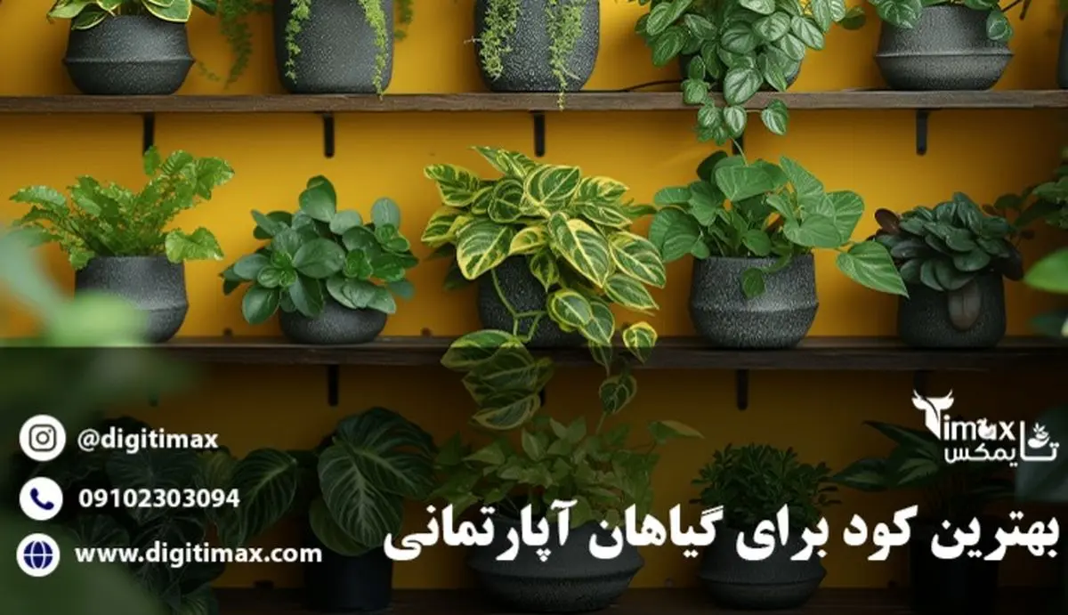 راهنمای خرید بهترین کود برای گیاهان آپارتمانی