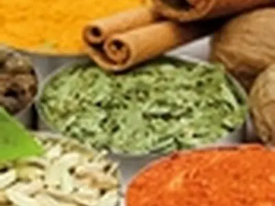 انجمن داروسازان با ایجاد داروخانه‌های گیاهی مخالف است