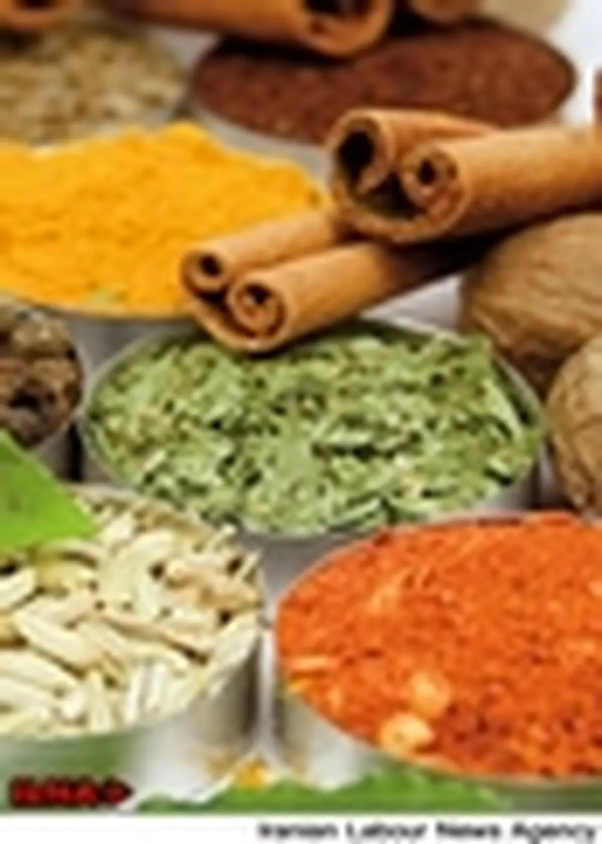 انجمن داروسازان با ایجاد داروخانه‌های گیاهی مخالف است