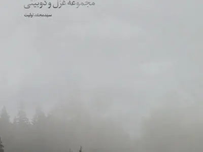 مجموعه غزل و دوبیتی «وقت کبود» منتشر شد