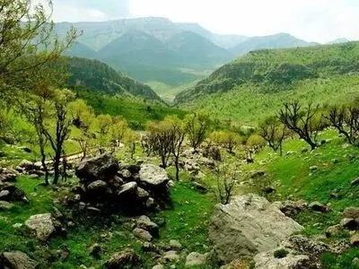 الگوی جنگل‌داری اجتماعی برای جنگل‌های زاگرس در دستور کار است