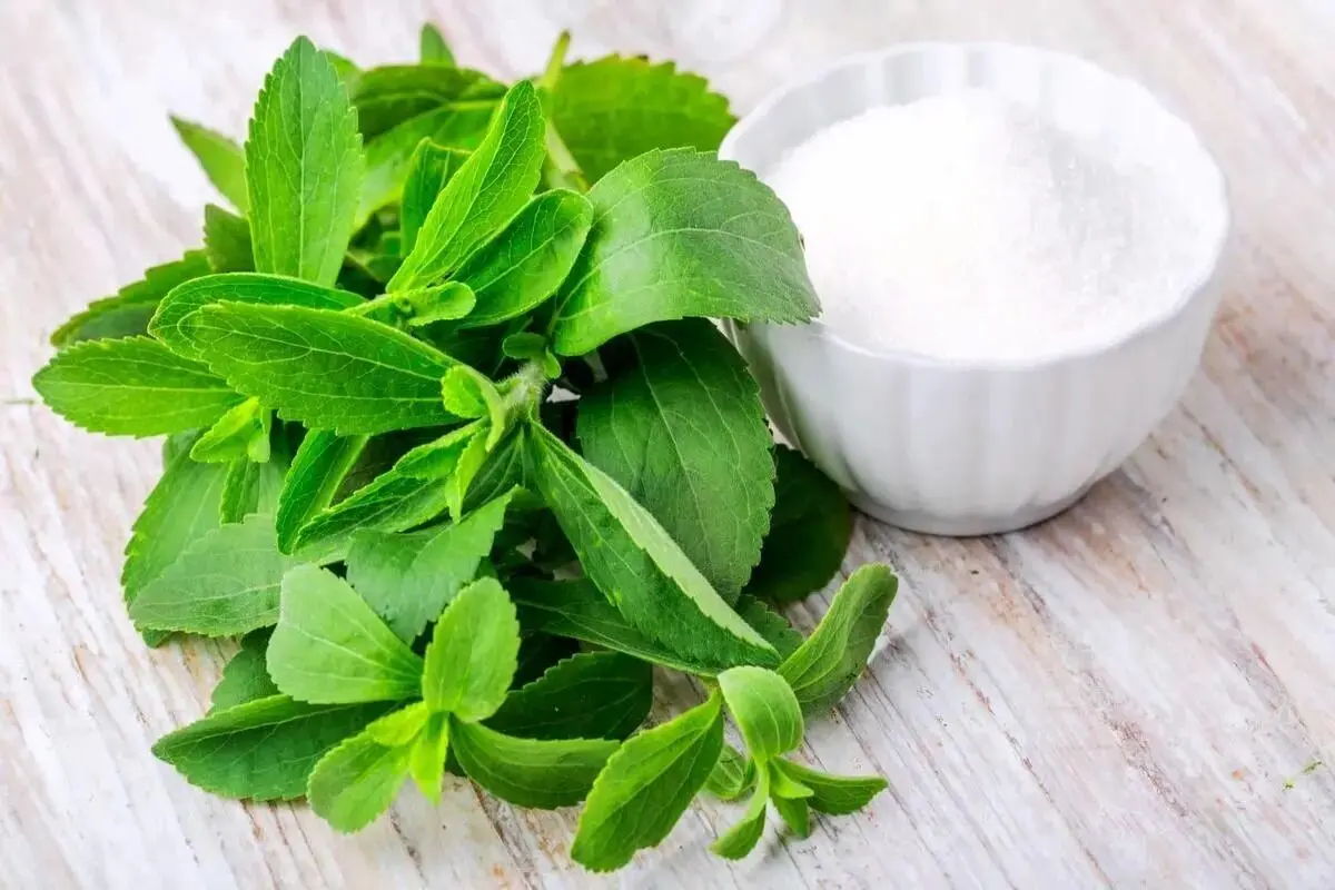 این گیاه یک جایگزین سالم برای قند مصنوعی 