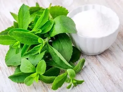 این گیاه یک جایگزین سالم برای قند مصنوعی 