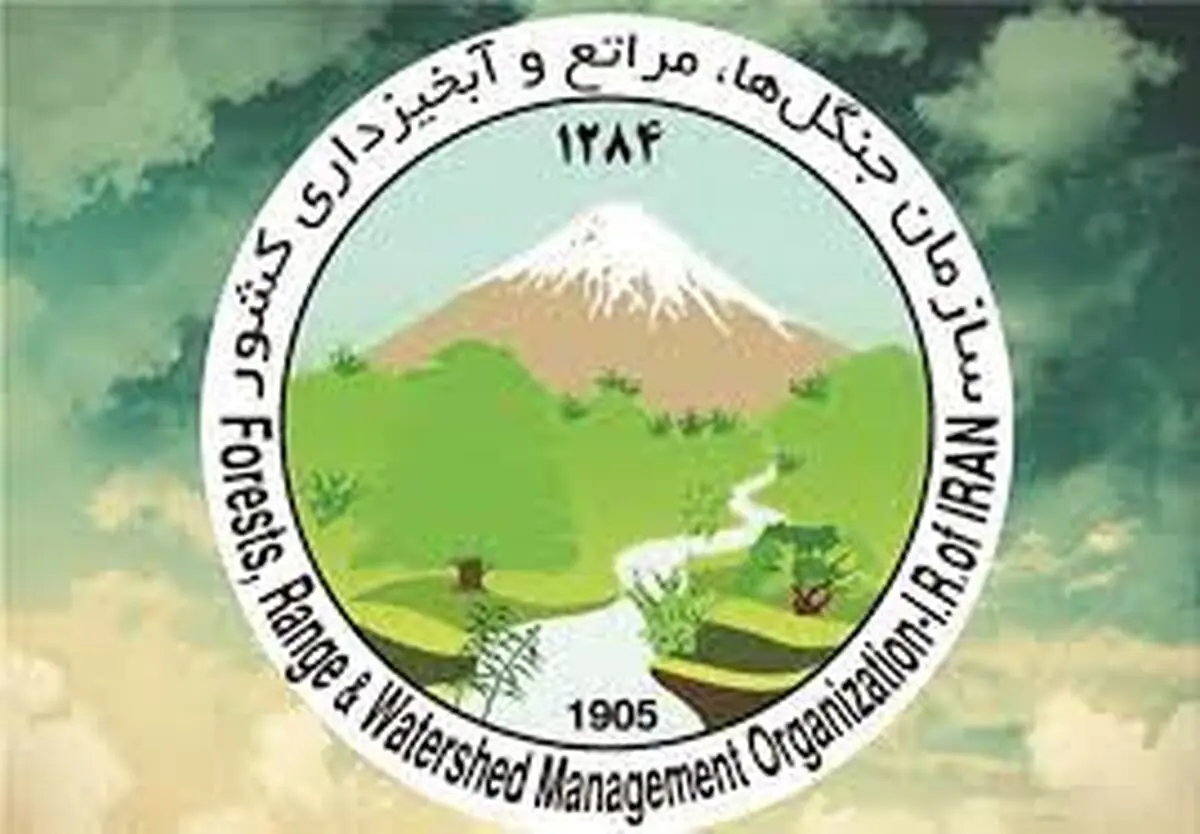 پاسخ به تمام انتقادها و ابهامات طرح کاشت یک میلیارد درخت/ پایان سوء استفاده از عرصه‌های طبیعی با تکمیل طرح کاداستر 



