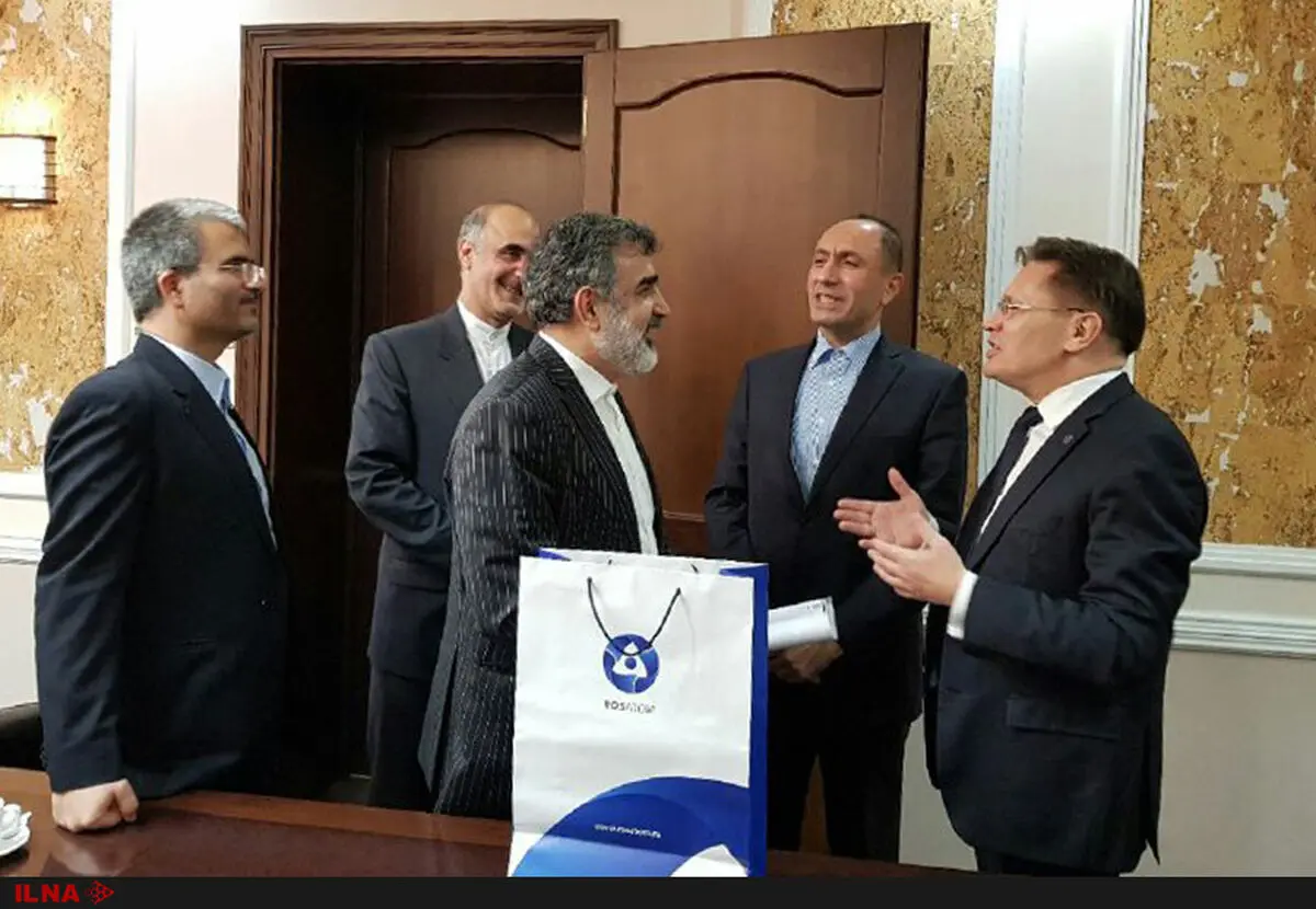 کمالوندی با رییس روس اتم دیدار کرد