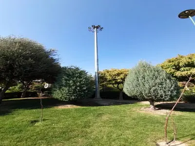 asdasd