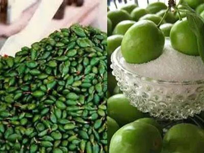 گوجه سبز به بازار آمد/ گوجه سبز از چغاله سبقت گرفت