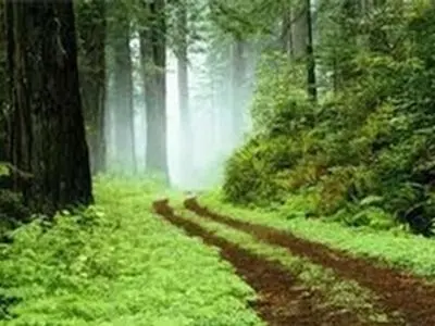 همایش منطقه‌ای همیاران طبیعت در زنجان برگزار شد
