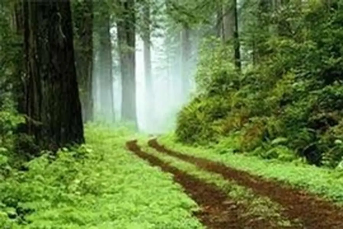همایش منطقه‌ای همیاران طبیعت در زنجان برگزار شد
